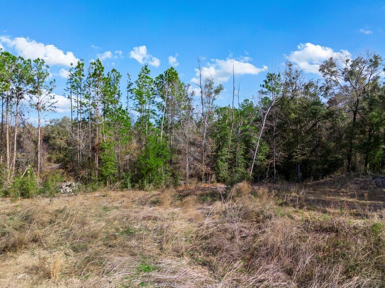 More Photos Of State Road 47, Lake City Land For Sale