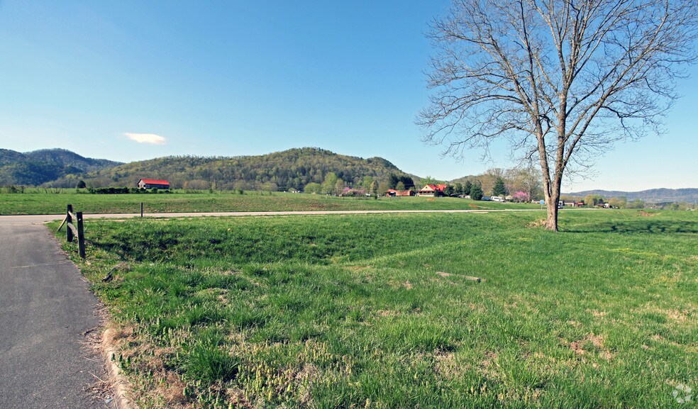 More Photos Of 7911 E Lamar Alexander Pky, Townsend Land For Sale