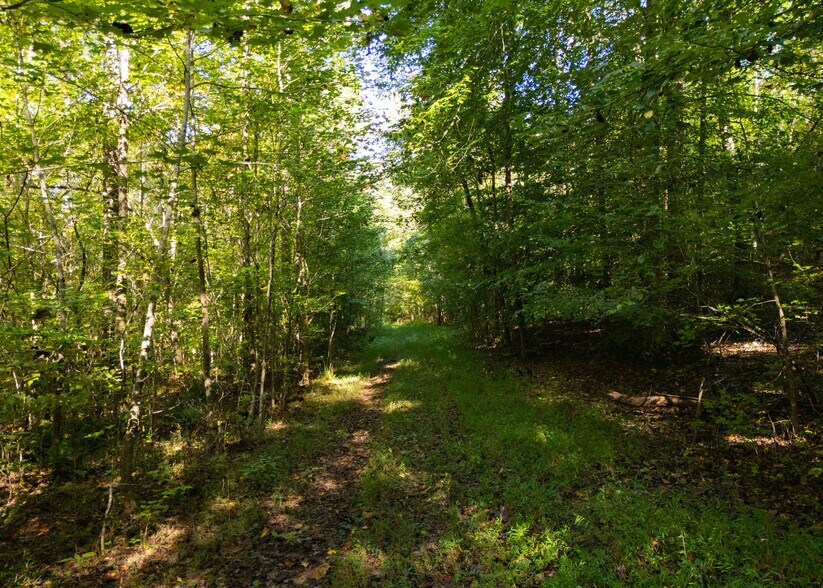 More Photos Of 501 Caldwell Rd, Blacksburg Land For Sale
