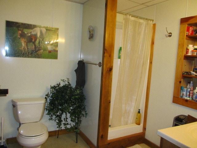 More Photos Of 93 Main St, Schenevus Storefront Retail Residential For Sale