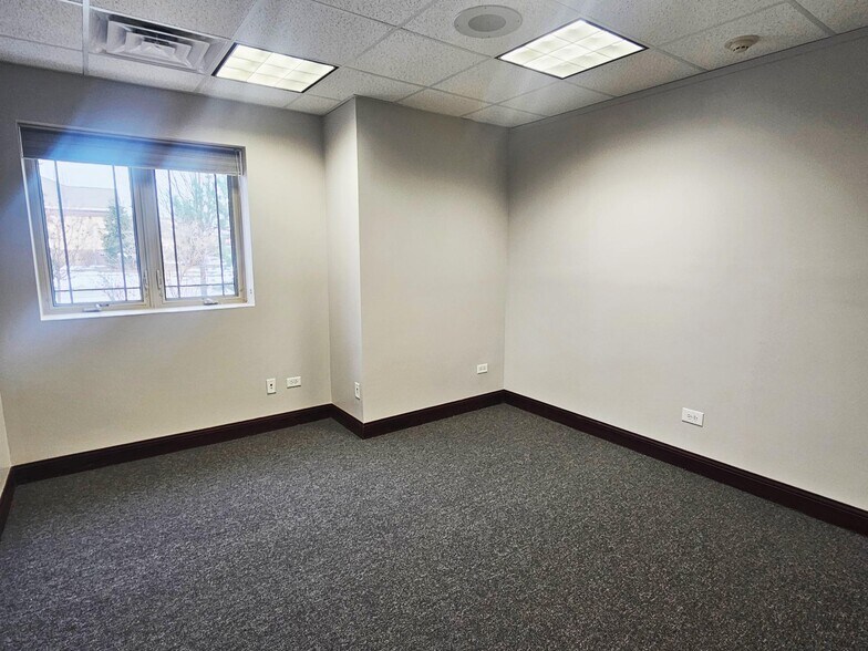 More Photos Of 11223 Distinctive Dr, Orland Park Medical For Lease