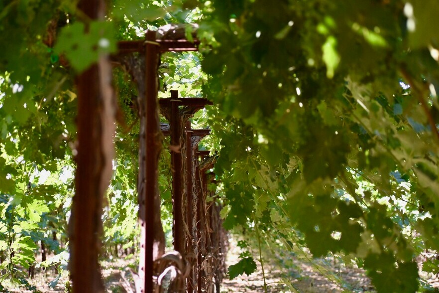 More Photos Of 25203 Road 212, Lindsay Land For Sale