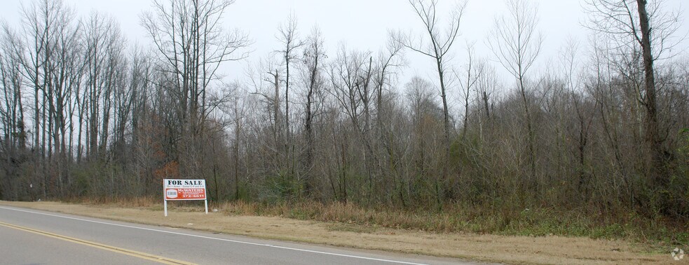 More Photos Of Houston Levee Rd @ Pisgah, Cordova Land For Sale