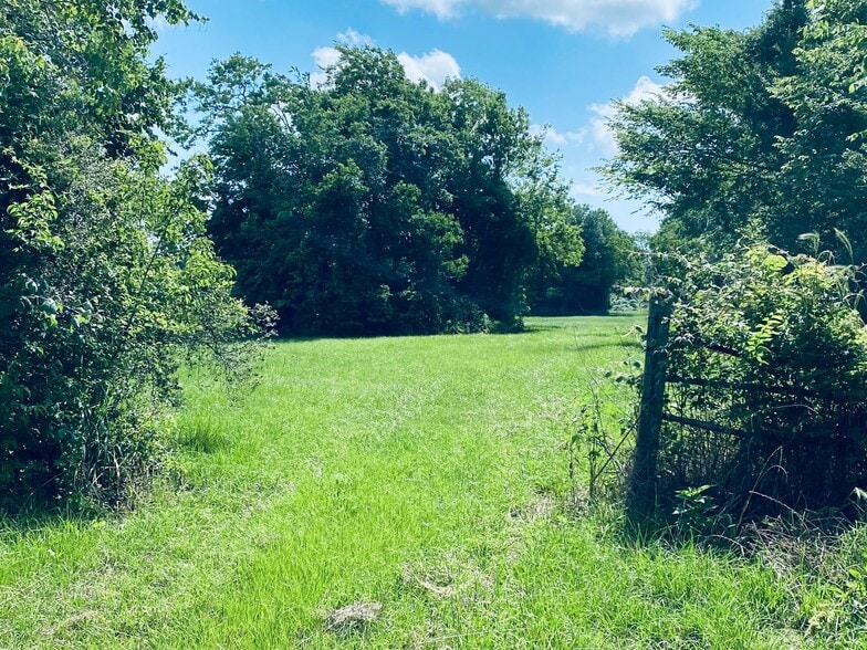 More Photos Of 1717 Caroline, Dickinson Land For Sale