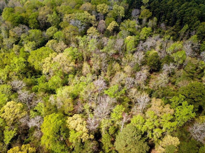 More Photos Of 25.4 ac W Austin Street w, Nacogdoches Land For Sale