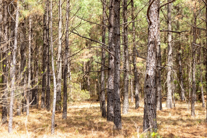 More Photos Of US 63, Junction City Land For Sale