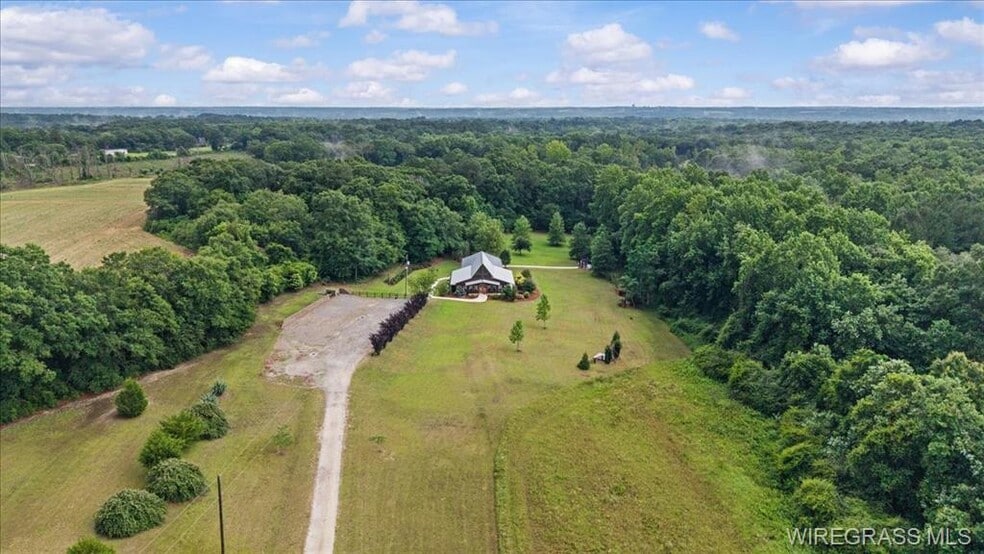 More Photos Of 4950 S County Road 20, Ozark Freestanding For Sale