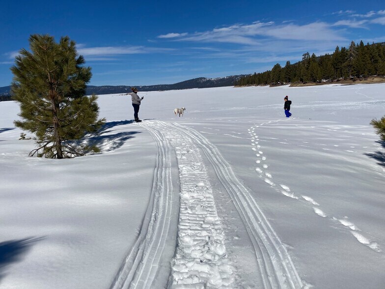 More Photos Of 7582 Buck Brush, Portola Hotel For Sale