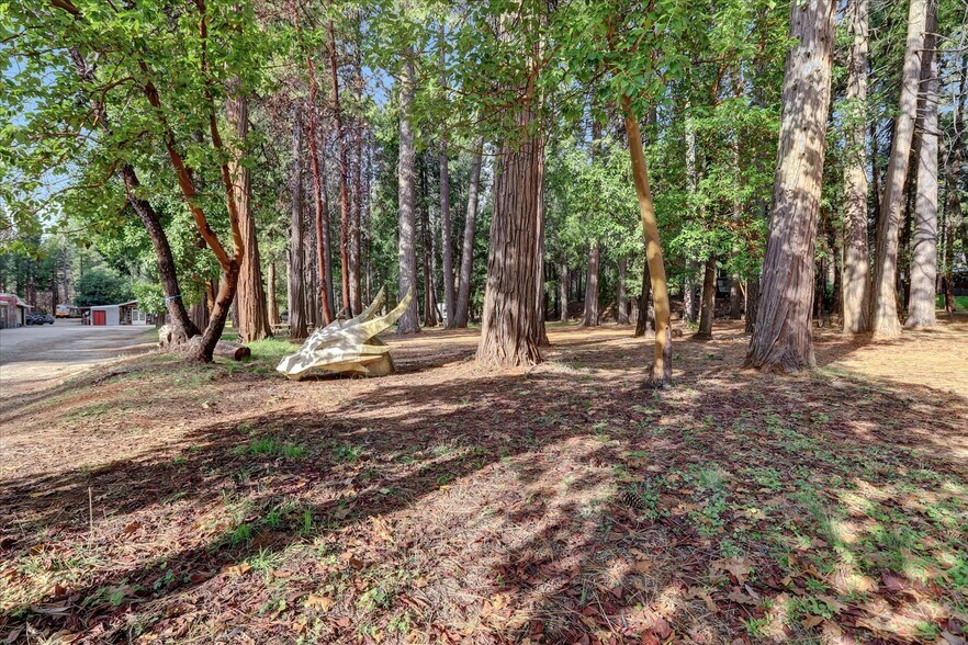 More Photos Of 14724 N Bloomfield Rd, Nevada City Flex For Sale
