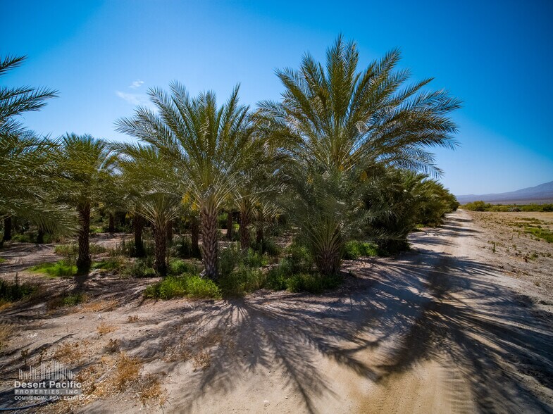 More Photos Of 75317 Polk St st, Thermal Land For Sale