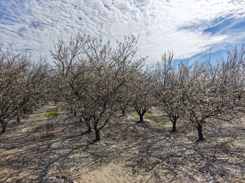 More Photos Of 1441 Bangs Ave, Modesto Land For Sale