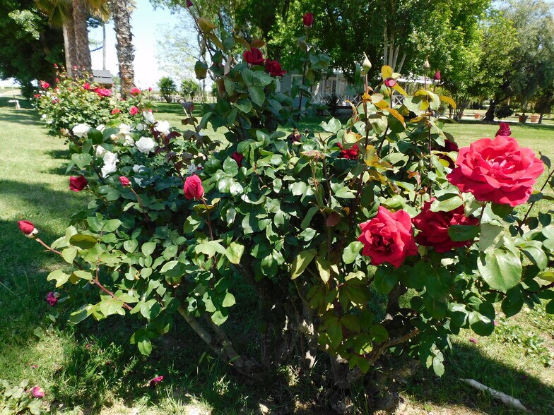 More Photos Of 8241 Koch Rd, Bakersfield Land For Sale
