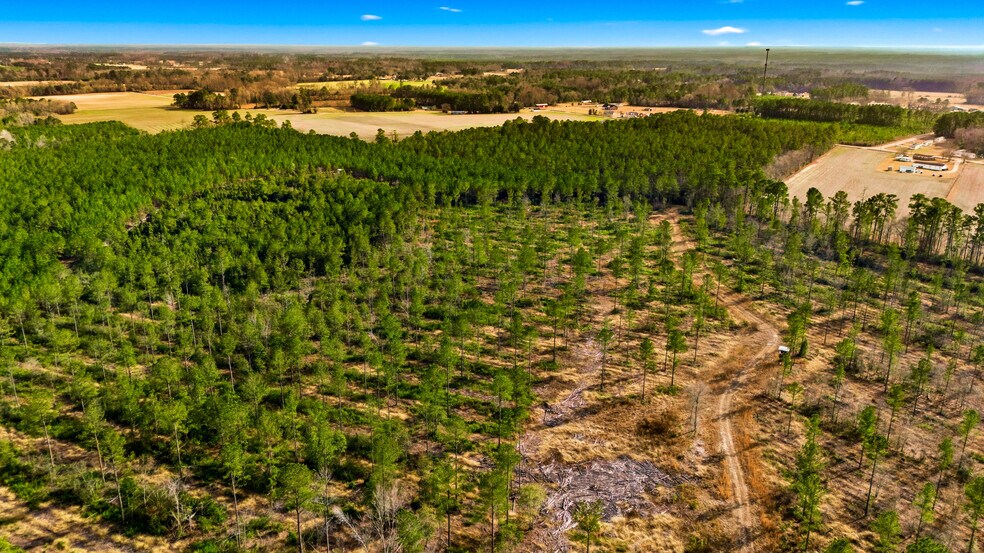 More Photos Of Highway 45, Loris Land For Sale