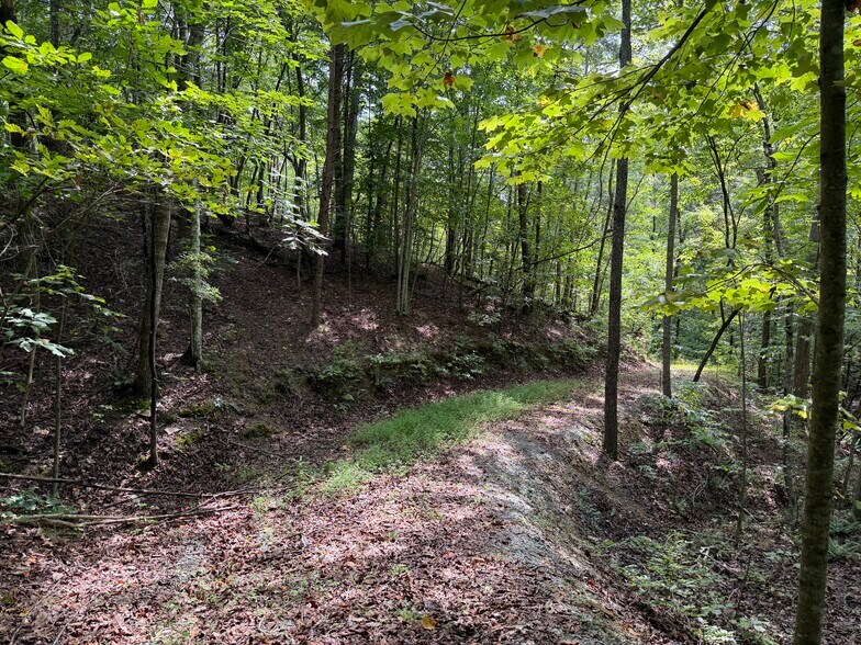 Primary Photo Of Fuller Mountain Rd, Fairmount Land For Sale
