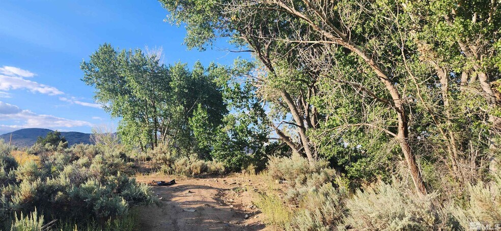 More Photos Of 5155 US Highway 50, Carson City Land For Sale