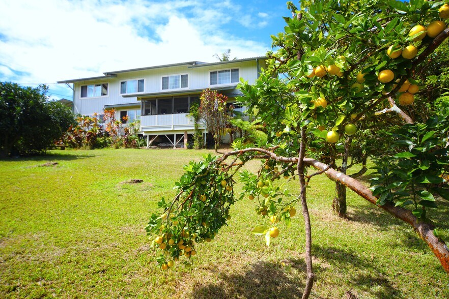 More Photos Of 564 Hoaka Rd, Hilo Specialty For Sale