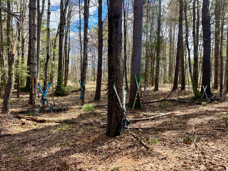 More Photos Of 2659 NH Route 16, Albany General Retail For Sale