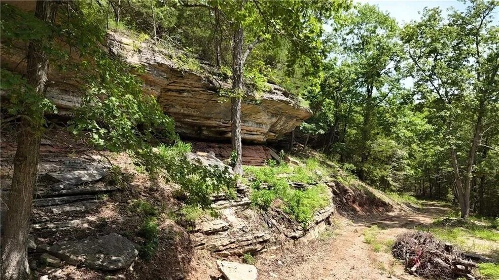 More Photos Of 190 Edgewater Dr, Eureka Springs Land For Sale