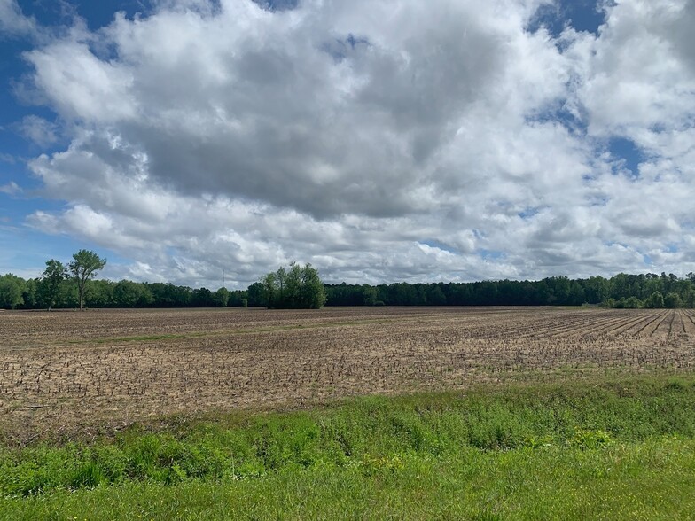 Primary Photo Of 492 Doc Henderson Rd, Maxton Land For Sale