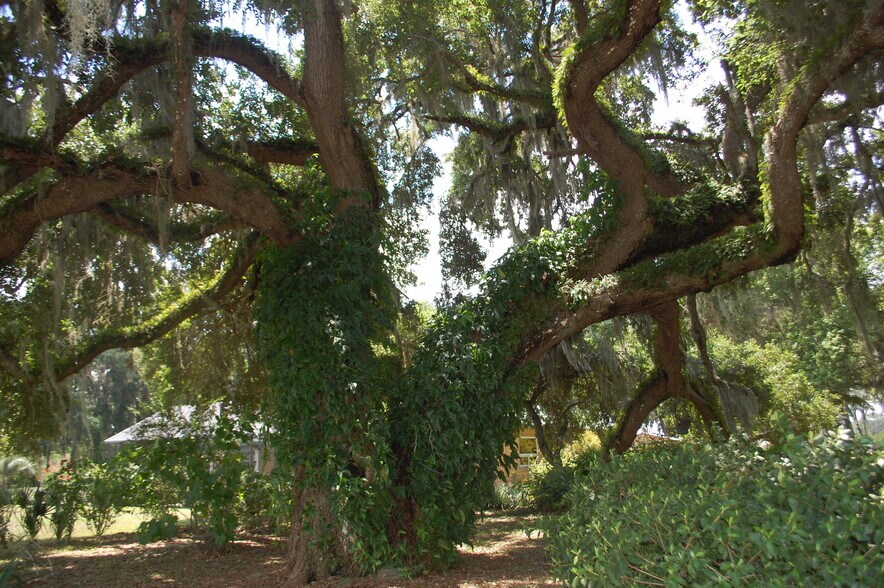 More Photos Of 18811 SE 243rd St, Hawthorne Specialty For Sale