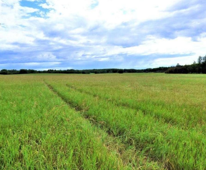 More Photos Of Range Road 142 Highway 55 S, Lac La Biche Land For Sale