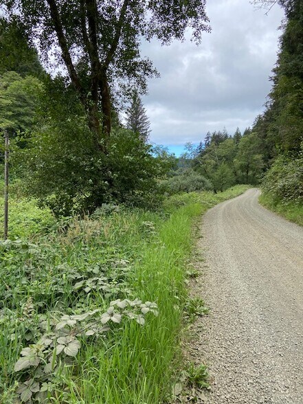 More Photos Of TL 203 Beaver Creek, Seal Rock Land For Sale