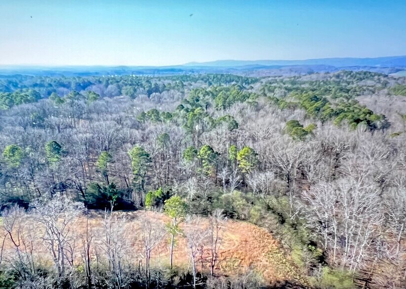 More Photos Of 1392 US 41 N, Calhoun Land For Sale