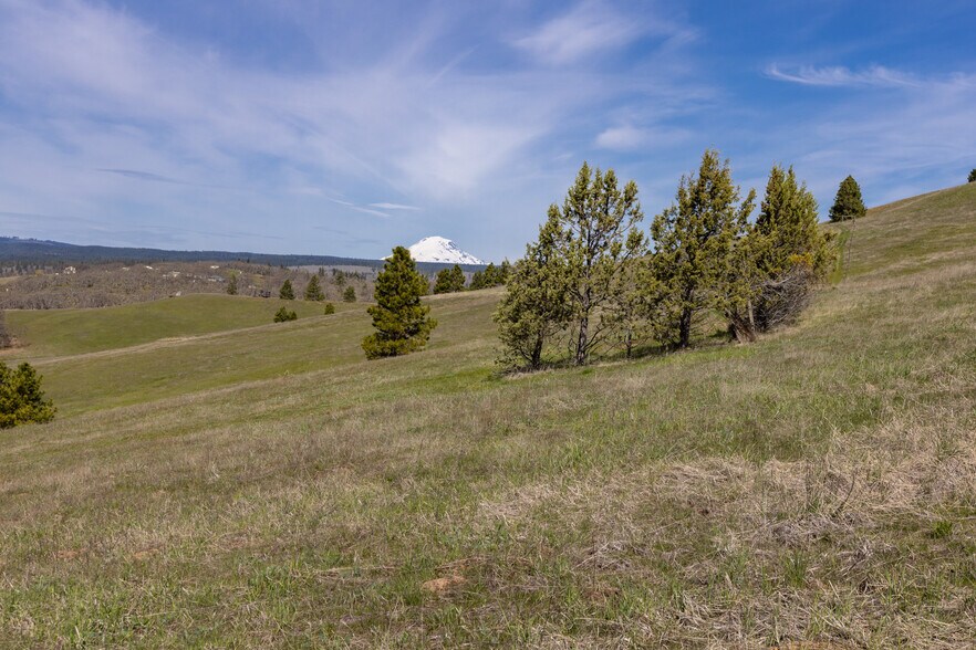 More Photos Of 60 Hartwig Road, Lyle Land For Sale