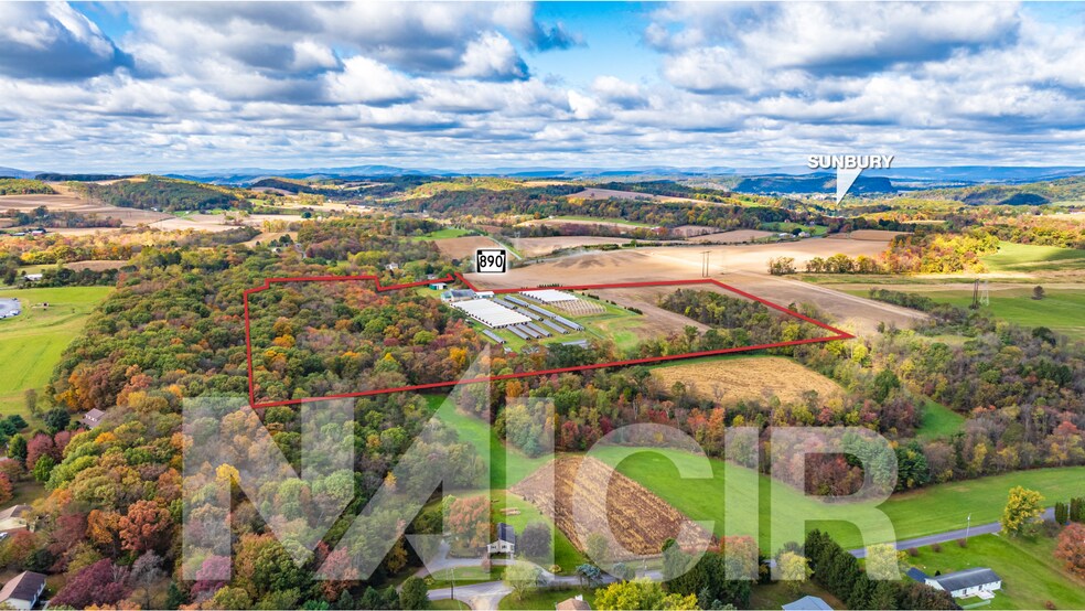 More Photos Of , Sunbury Flex For Sale