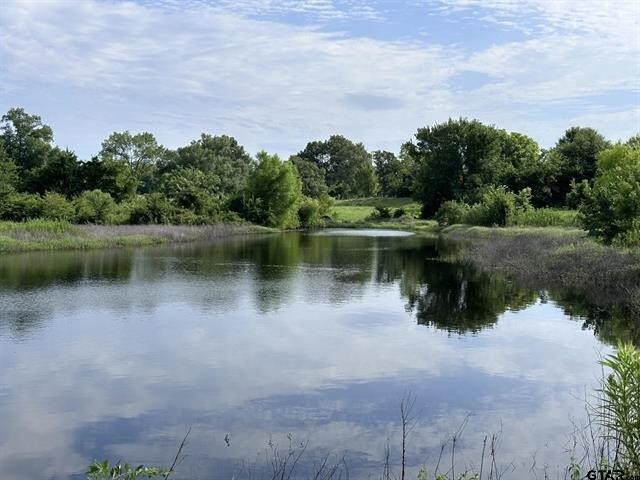 More Photos Of 2096 FM 21, Pittsburg Land For Sale