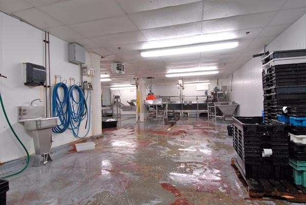 More Photos Of 18-20 Newmarket Sq, Boston Food Processing For Lease