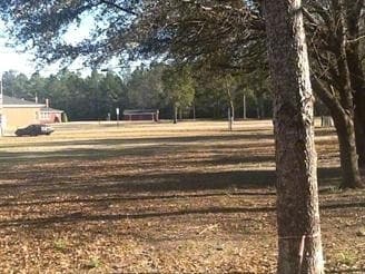 Primary Photo Of 5289 Wilma Edwards Rd, Black Creek Land For Sale