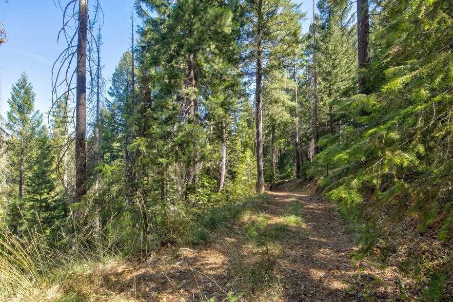 More Photos Of Texas Hill Rd, Emigrant Gap Land For Sale