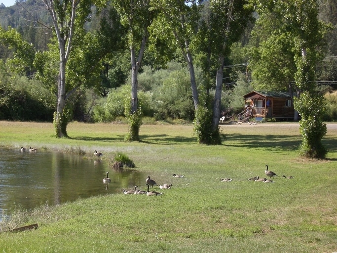 More Photos Of 7420 Rush Creek Rd, Lewiston Manufactured Housing Mobile Home Park For Sale