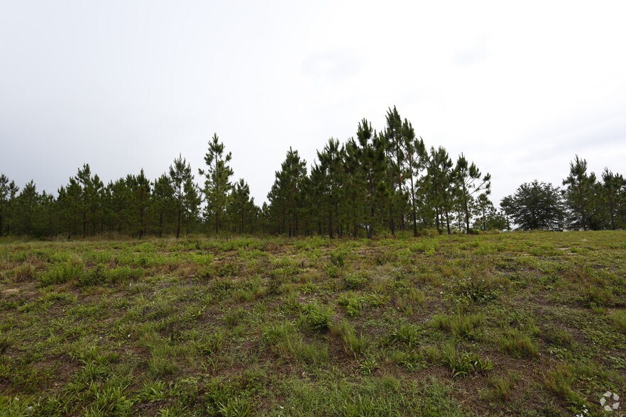 More Photos Of 4300 US 27 S, Sebring Land For Sale