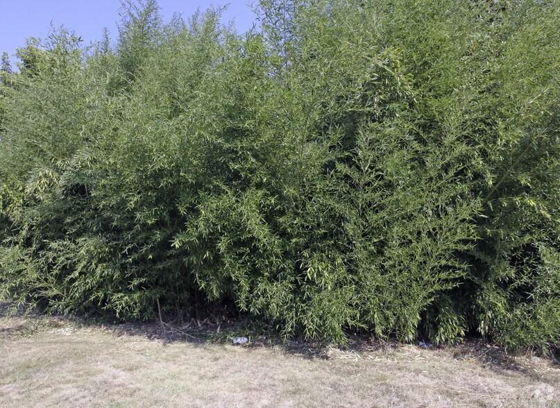 More Photos Of 20 Sandra Dr, Parsippany Land For Sale