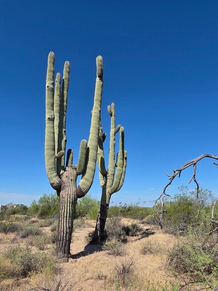More Photos Of 31602 Black Cross #19 Rd, Scottsdale Land For Sale