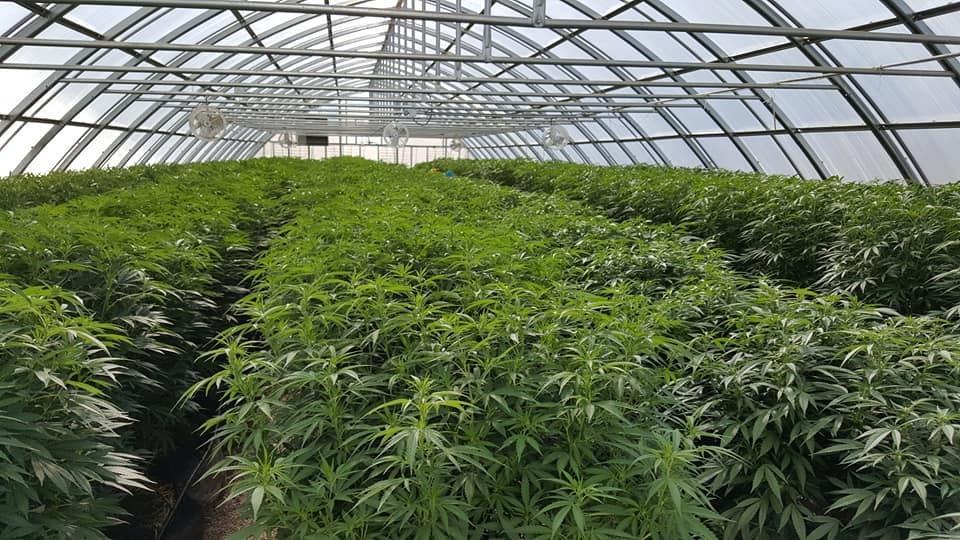 More Photos Of 601 & 2340 Bennett, Walsenburg Specialty For Sale