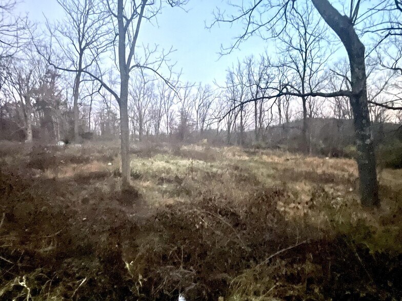 Primary Photo Of 13022 Route 9W, West Coxsackie Land For Sale