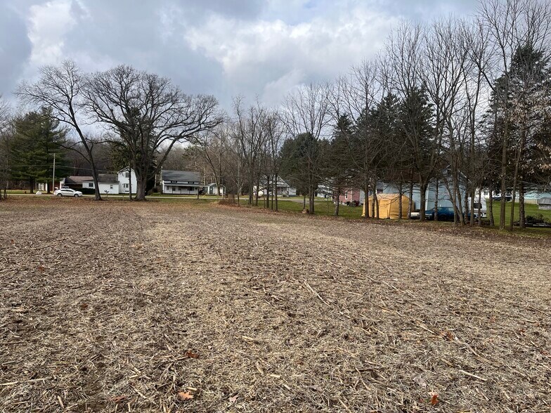 More Photos Of 0 V/L Green St., Springport Land For Sale