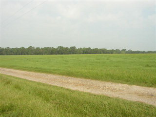 Primary Photo Of 13971 George Younce Rd, Foley Land For Sale