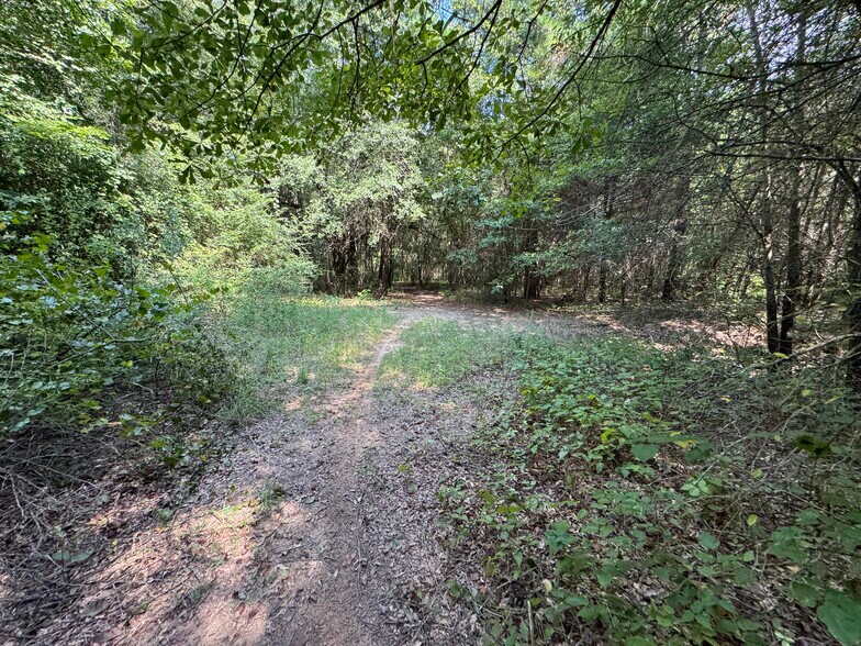 More Photos Of 000 Meadow View Ln, Flint Land For Sale