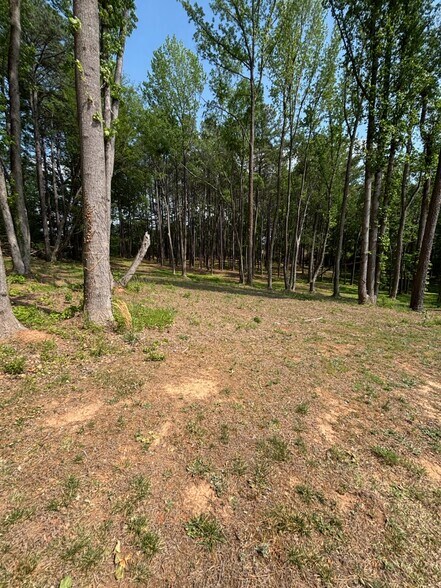 More Photos Of 1013A Carthage St, Sanford Land For Sale