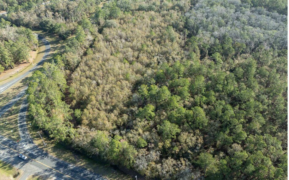 More Photos Of TBD CR 137 & I-10, Wellborn Land For Sale