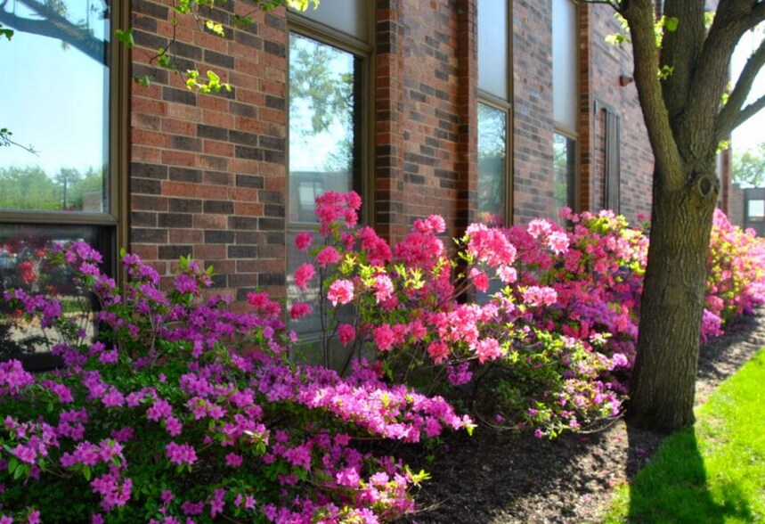 More Photos Of 625 N North Ct, Palatine Unknown For Lease