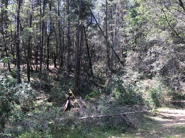 More Photos Of Canyon Creek Drive -1 @ Canyon Way, Colfax Land For Sale