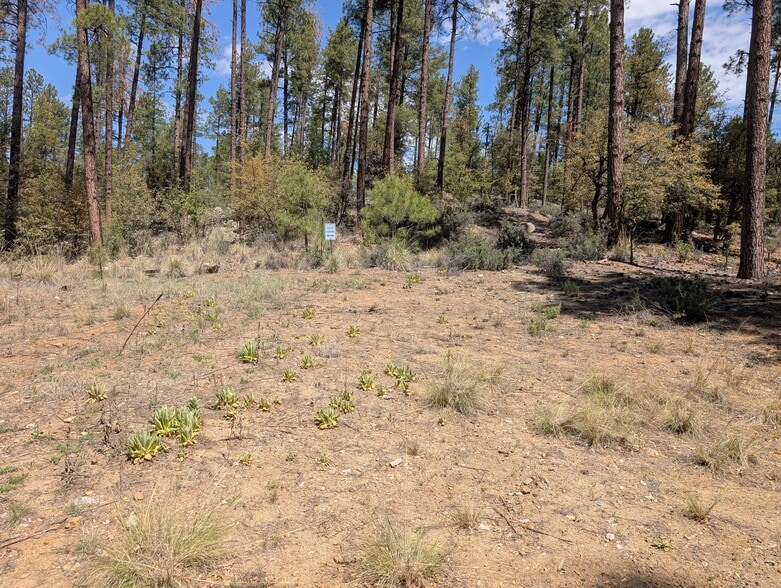 More Photos Of 101 Marapai Rd, Prescott Specialty For Sale