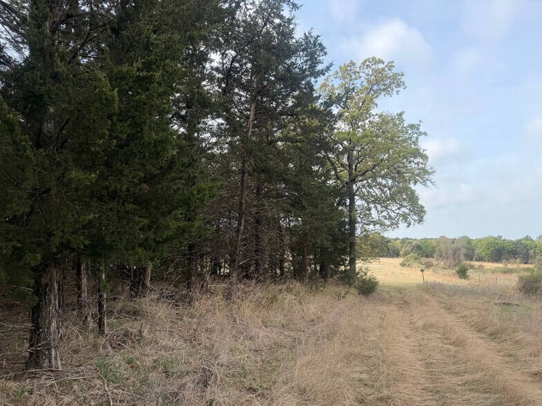 More Photos Of 2548 County Road 2690, Alvord Land For Sale