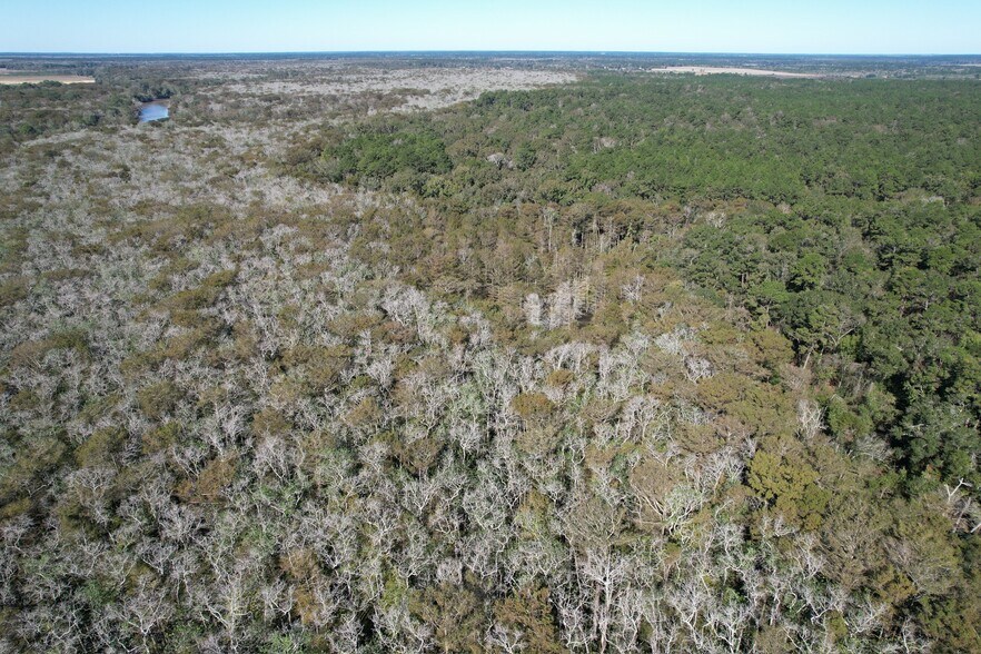 More Photos Of 815 Ferry Rd, Egan Land For Sale