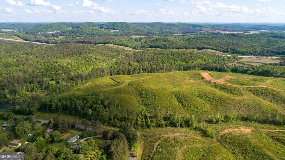 More Photos Of 0 Old Blacks Bluff Rd, Rome Land For Sale